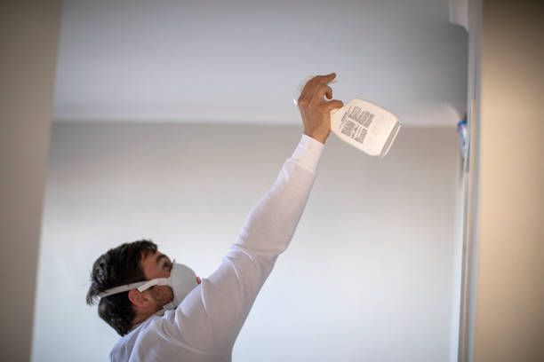 Best Water Damage Restoration  in Wenona, IL
