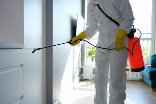 Best Mold Removal Specialists  in Wenona, IL