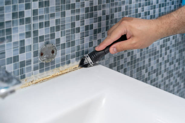Best Black Mold Removal  in Wenona, IL